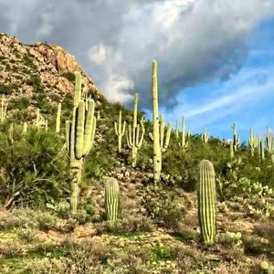 Meet your Posher, Posh